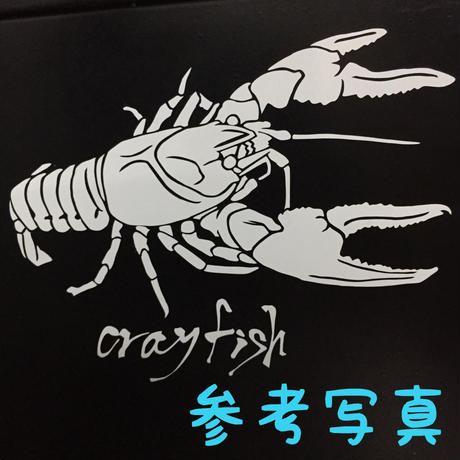 5b9cbcafef843f755c00011e