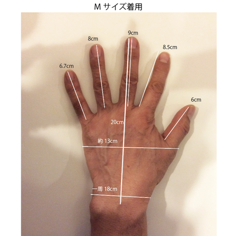 5a21fb07ed05e62112000cf5