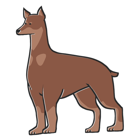 Pmaji4slhrwivm Pmaji4slhrwivm