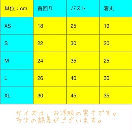 59094f74b1b619610800508d