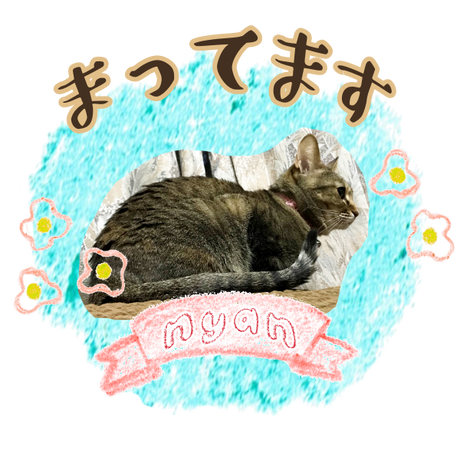 5d4a80f32e89b739d6d53f5d