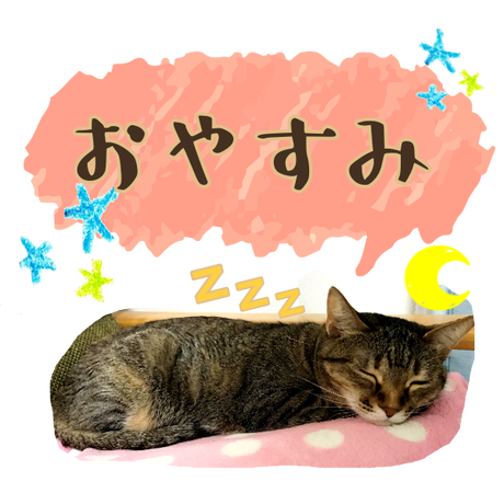 5d4a80f32e89b739d6d53f5d