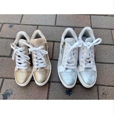 5cf75d38adb2a17dc1780965