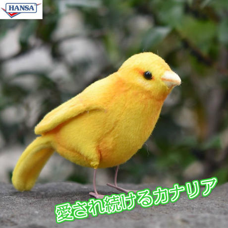 5e62f899823e7c2247bf3a29