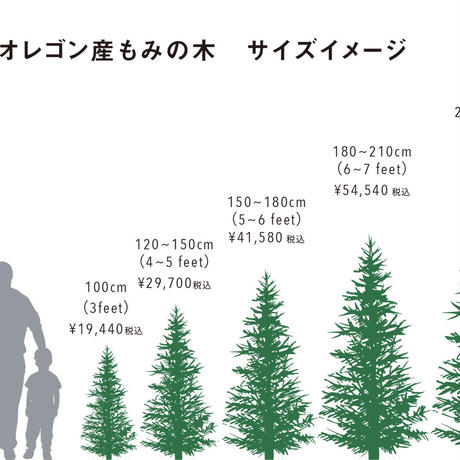 5bceca5fc3976c08c20000f2