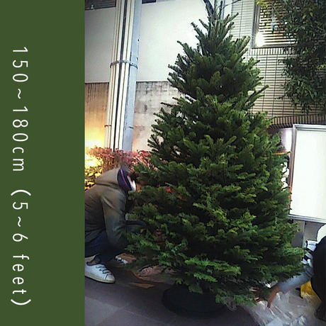 5bcebc48579cdc7c1e00023f