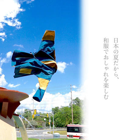 59116c35ed05e6b5a400007f