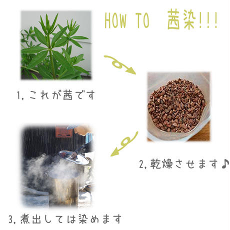 5980a59bb1b6194067001f3e