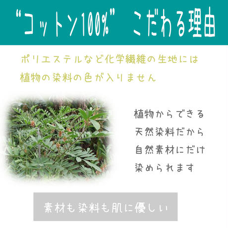 597dd8a9b1b6195f19006fea