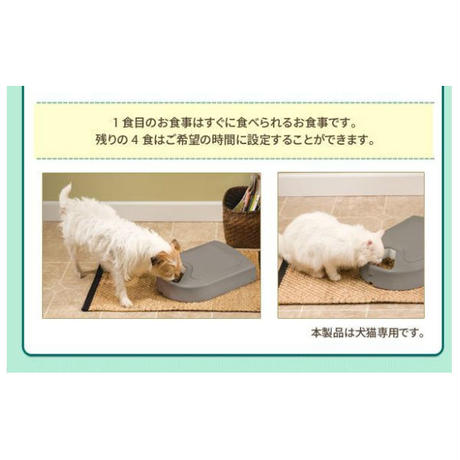 5c7ce1522ef8280990c71848