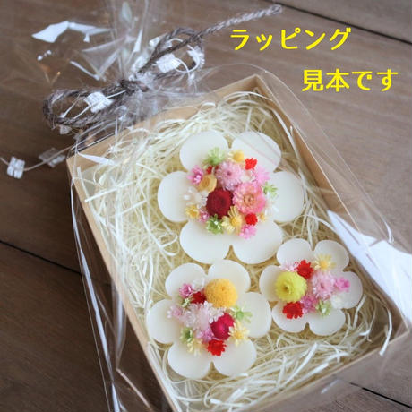 5c2b5058e73a251ac91f0344