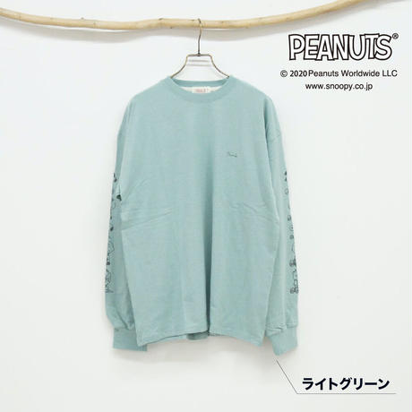 5f485efcafaa9d6dc9f1233a