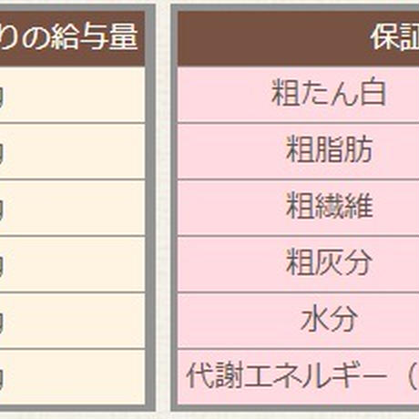 5c08ad7a40c9ea2679228b64