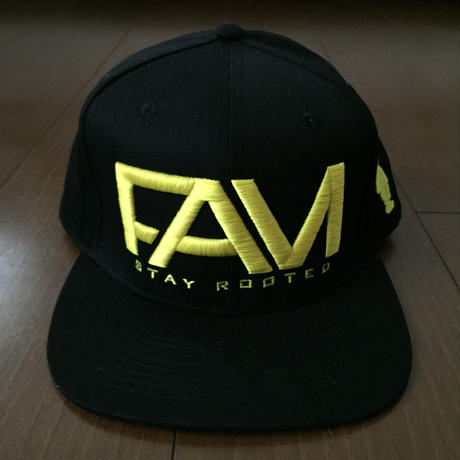 5a3bbf9ff22a5b0de60018d2