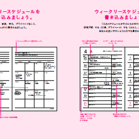 5c26000ac2fc28195a50593c