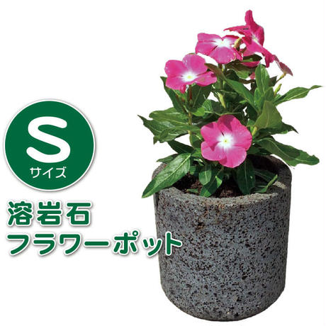 5dd61cc12785d81a3269b8bc