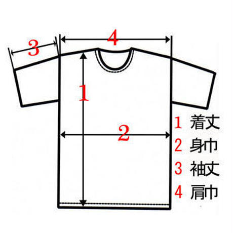 53588685236a1e645100002a
