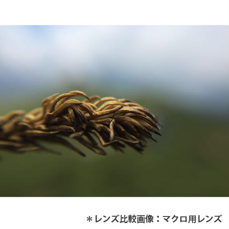 574bfd2a100315a5b800031c