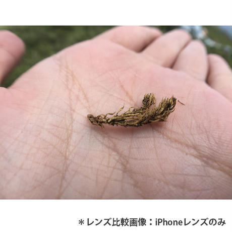 574bfea49821cc46c7000330