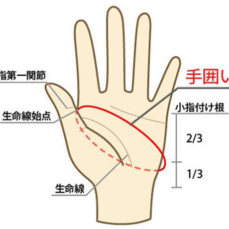 5a96675a5f78663d120000bc