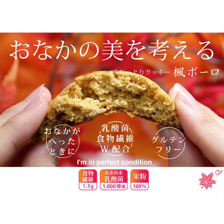 5b04e2635496ff4f330003eb