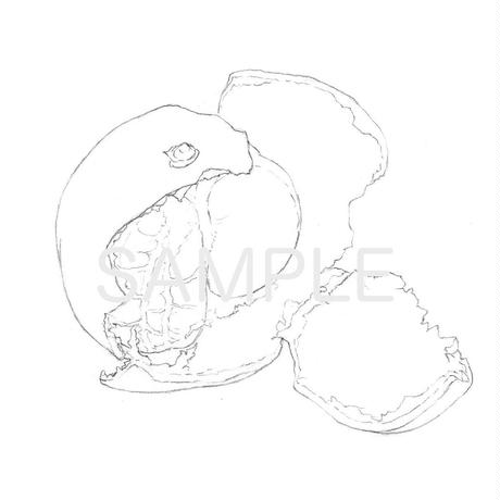 水彩色鉛筆画 Stores