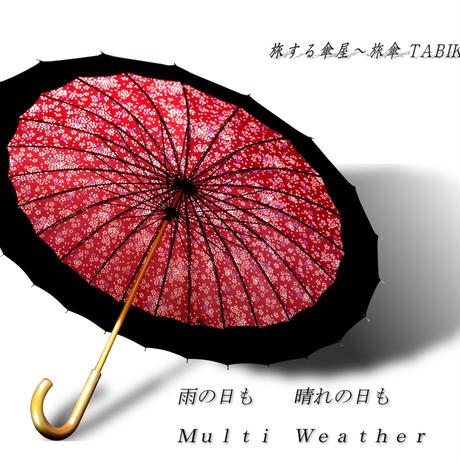 590c8d31c8f22c98ae018100