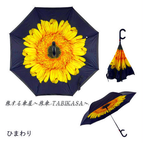 5d04cf3bb8174c6860d95753