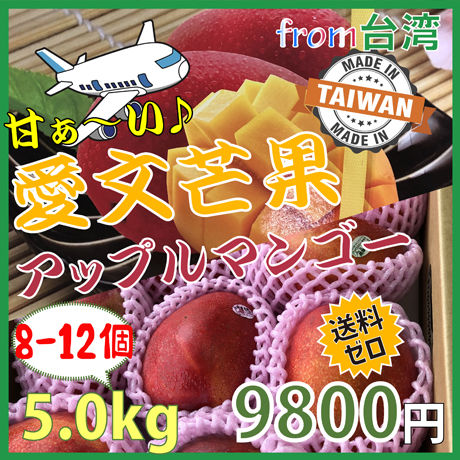 5eb0fe4755fa037d3f3e3267