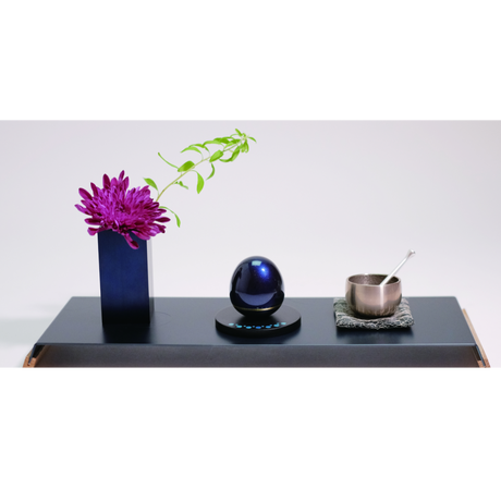 5b2db7945f78660616000967