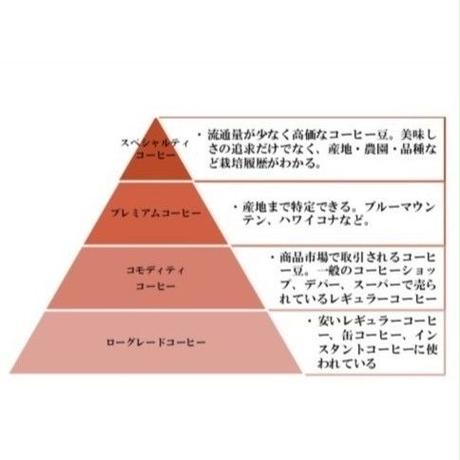 5d2eb4978e69196d81e49898