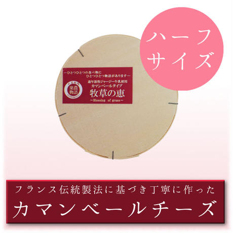 57a1689e41f8e858f4000a74