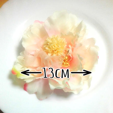 56a372853cd4829d5c007671