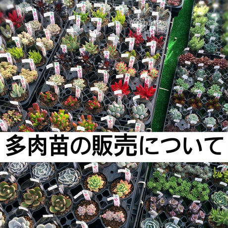 56b7ee123cd482b85100bd84