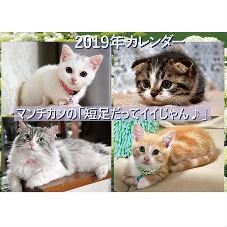 マンチカン Stores マンチカン Stores