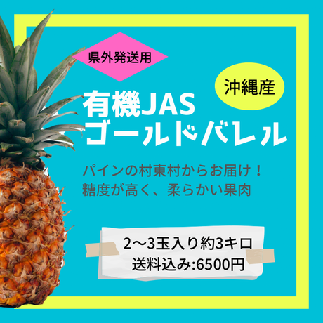 パインアップル Stores