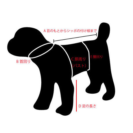 5ef56fdb0d5e381ff4a417bc
