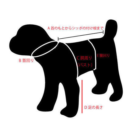 5e995ed651576228e0e0bbcb