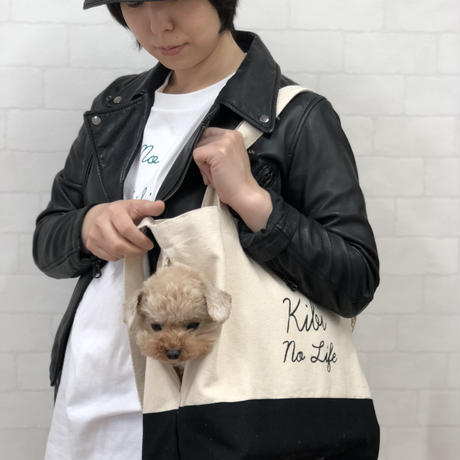 5ace1792434c720a80000310