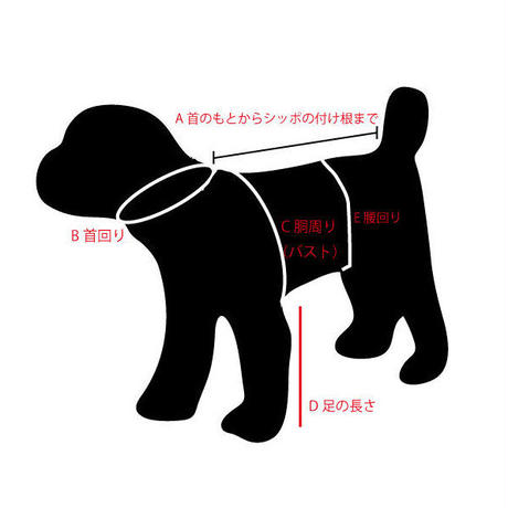 5ed9e77534ef010f234a61db