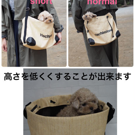 5c9c99c73207bc721386c03c