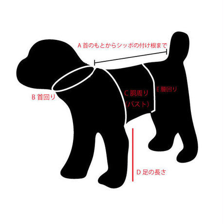 5e993c11cee9ea03137cae93