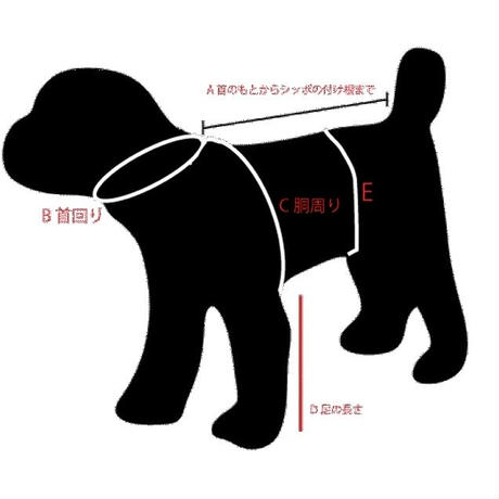 5dff03087f16477d684381be
