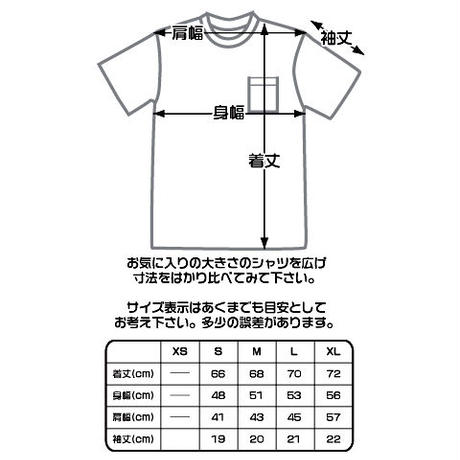 5b91e49550bbc331e80001ed