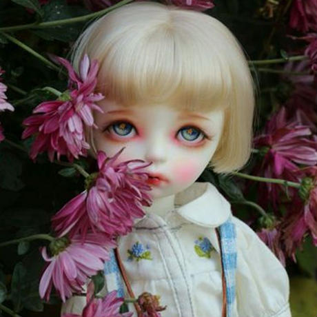 5d67cb078606487c6dd92bc9