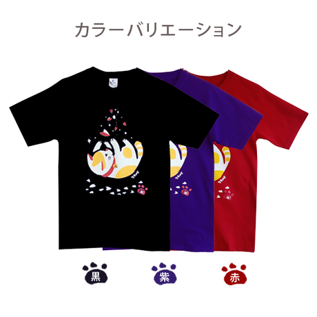 591cd8b73210d571dc0044fa