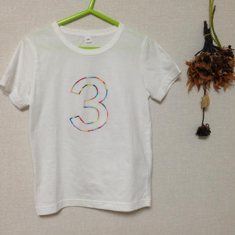 559bb1f886b18866df0012e5