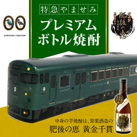 5a682b5227d1cc0f2500019b