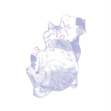 5d5d008466d86c1ac0a97f25