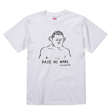 Compilation of online stores for New Japan shirts : r/njpw